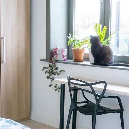 Oda ve Kahvaltı Biggenkruid - Sustainable Gent